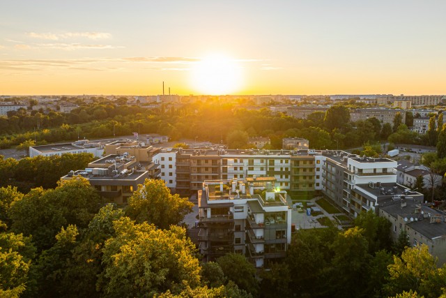  HelenĘw Park 2024-06-11 (5).jpg