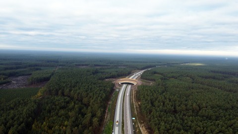 DJI_0543.jpg