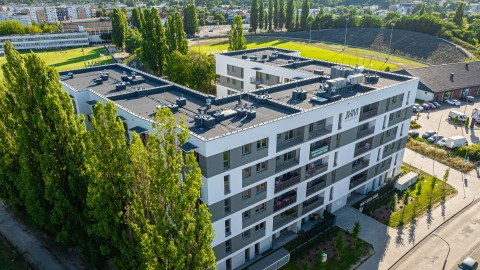 JHM Bydgoszcz 2024-07-23 (5).jpg