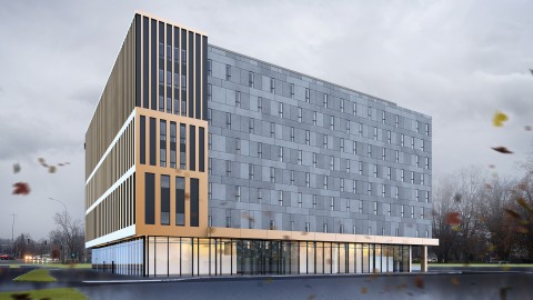 GROMADA C5 GOLD GREY.jpg