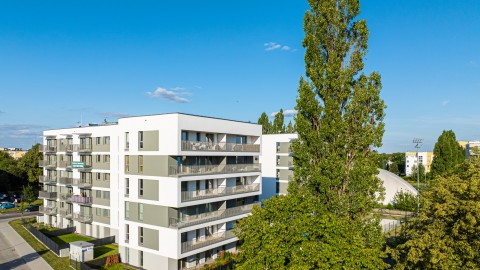 JHM Bydgoszcz 2024-07-23 (6).jpg